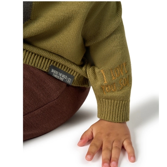 WHERE THE WILD THINGS ARE 3T Green Sweater UNISEX - Picture 3 of 9